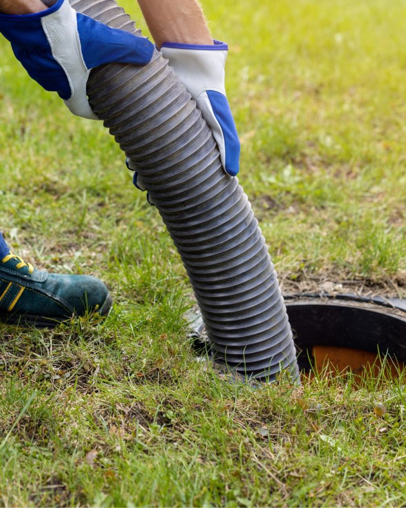 Diseño sin título - 2025-09-08T104635.676